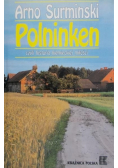 Polninken czyli historia niemieckiej miłości