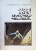 Jaskinie wyżyny krakowsko - wieluńskiej