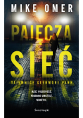 Pajęcza sieć