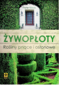 Żywopłoty Rośliny pnące i osłonowe