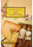 Ziele na kraterze