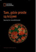 Tam gdzie proste są krzywe Geometrie nieeuklidesowe