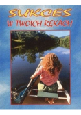 Sukces w twoich rękach