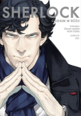 Sherlock studium w różu