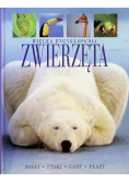 Wielka encyklopedia zwierząt ssaki ptaki gady płazy