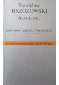 Kolekcja prozy polskiej XX wieku Płomienie