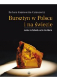 Bursztyn w Polsce i na świecie