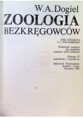 Zoologia bezkręgowców