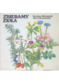 Zbieramy zioła