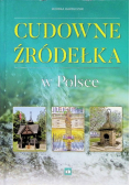 Cudowne źródełka w Polsce