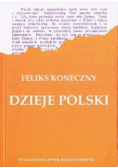 Dzieje Polski Tom I