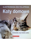 Koty domowe