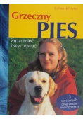 Grzeczny pies