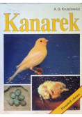 Kanarek