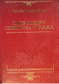 Zarys dziejów uzbrojenia w Polsce