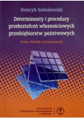 Determinanty i procedury przekształceń własnościowych przedsiębiorstw państwowych