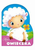 Mała owieczka