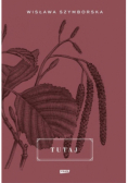 Tutaj