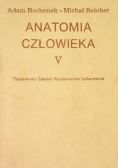 Anatomia człowieka