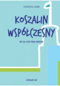 Koszalin współczesny