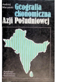 Geografia ekonomiczna Azji Południowej