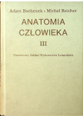 Anatomia człowieka Tom III