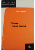 Nerwy i mózg ludzki