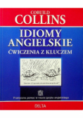 Idiomy Angielskie ćwiczenia z kluczem