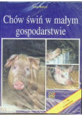 Chów bydła w małym gospodarstwie