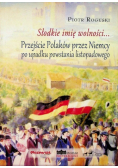 Słodkie imię wolności Przejście Polaków przez Niemcy po upadku powstania listopadowego