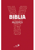 Biblia młodych Youcat