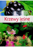 Krzewy leśne