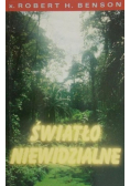 Światło niewidzialne