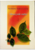 Okruszynki nieba