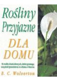 Rośliny przyjazne dla domu