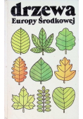 Drzewa Europy Środkowej