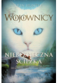 Niebezpieczna ścieżka