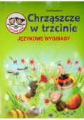 Chrząszcze w Trzcinie Językowe wygibasy
