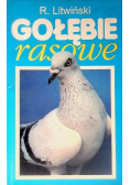 Gołębie rasowe