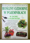Wielki przewodnik rośliny ozdobne w pojemnikach w domu i ogrodzie