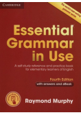 Essential Grammar in Use