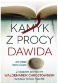 Kamyk z procy Dawida. Jak czytać Pismo Święte?