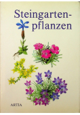 Steingarten - pflanzen