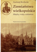 Ziemiaństwo wielkopolskie W kręgu arystokracji