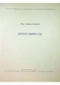 Bóżnice drewniane