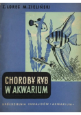 Choroby ryb w akwarium