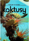 Rośliny w domu Kaktusy