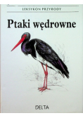 Leksykon przyrody Ptaki wędrowne