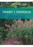 Trawy i paprocie