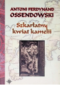 Szkarłatny kwiat kamelii